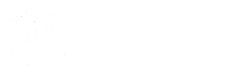 Task Force Protection